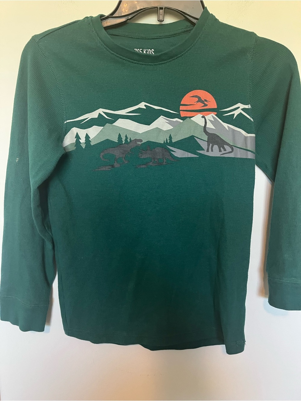 Garanimals Dark Green Long-Sleeve Mountain & Dinosaur Graphic Tee